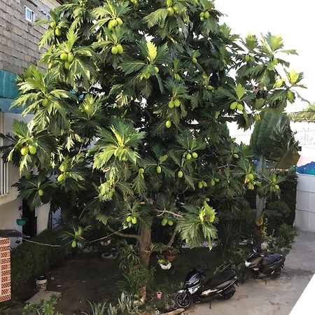 Hosteria Cattleya San Andres  Luaran gambar